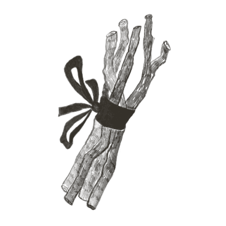 Bundle Press cover